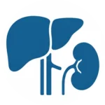 kidney